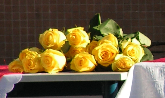 Az osztályok egy-egy szál sárga rózsával búcsúztak Dr. Ecsedy Andorné Ági nénitől nyugdíjba vonulása alkalmából.