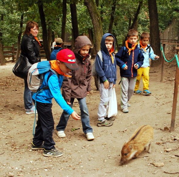 Mi is lett volna méltóbb helyszín az 'állati' projekt témanyitó akadályversenyére, mint a Budakeszi Vadaspark?