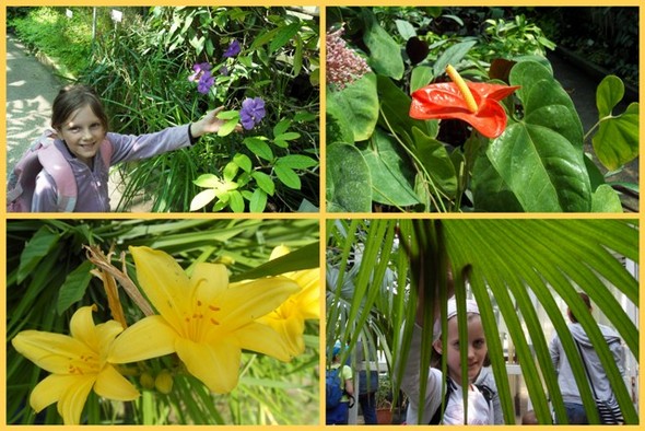 Vácrátótra, a botanikus kertbe látogattunk el, mely szépségével mindannyiunkat lenyűgözött.