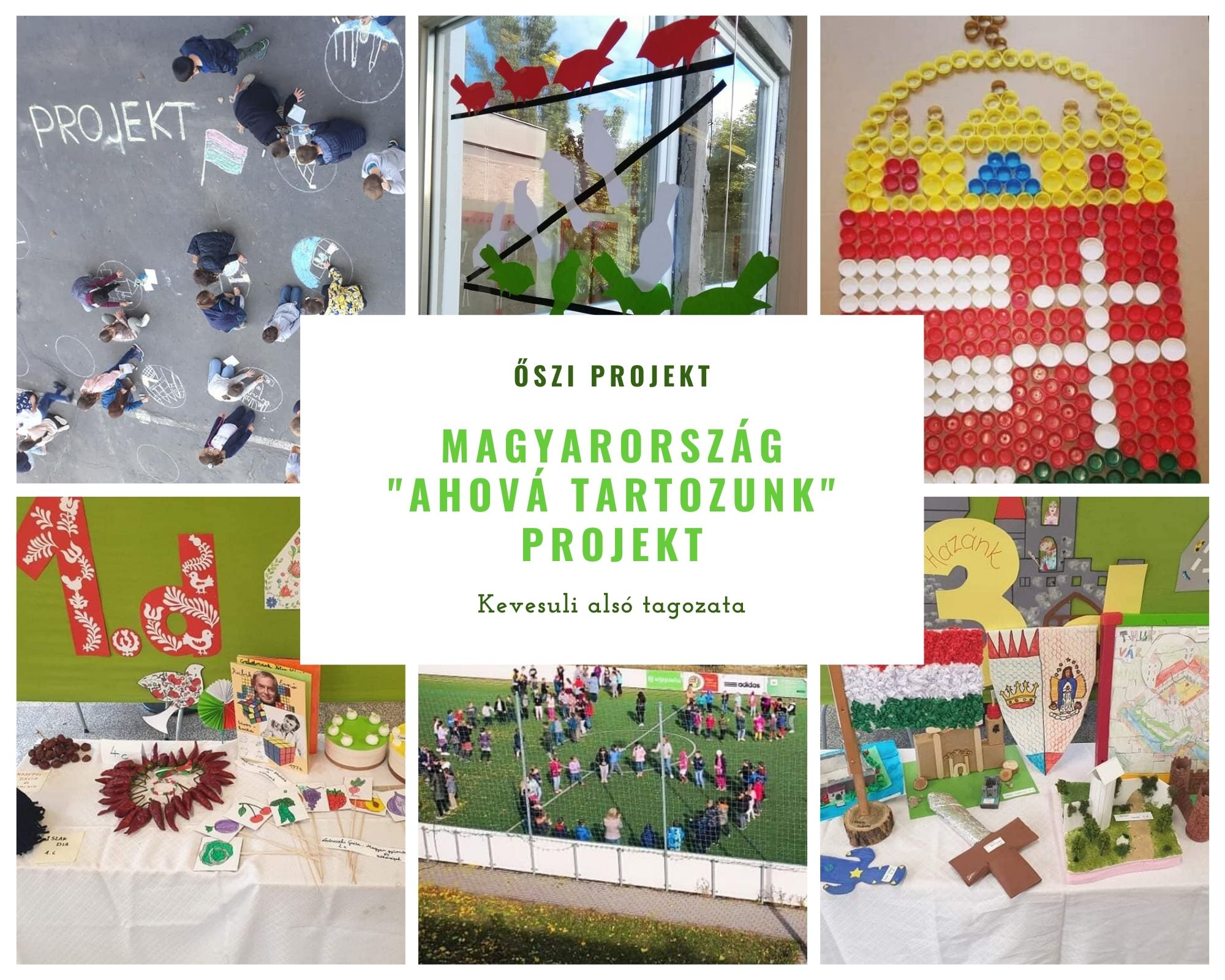 Iskolánk alsó tagozatos osztályai a hagyományos őszi projekt keretében idén a Magyarország - 