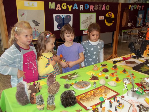 Iskolánk alsós diákjai ebben a tanévben Magyarország védett állatait tanulmányozták projektmódszerrel.